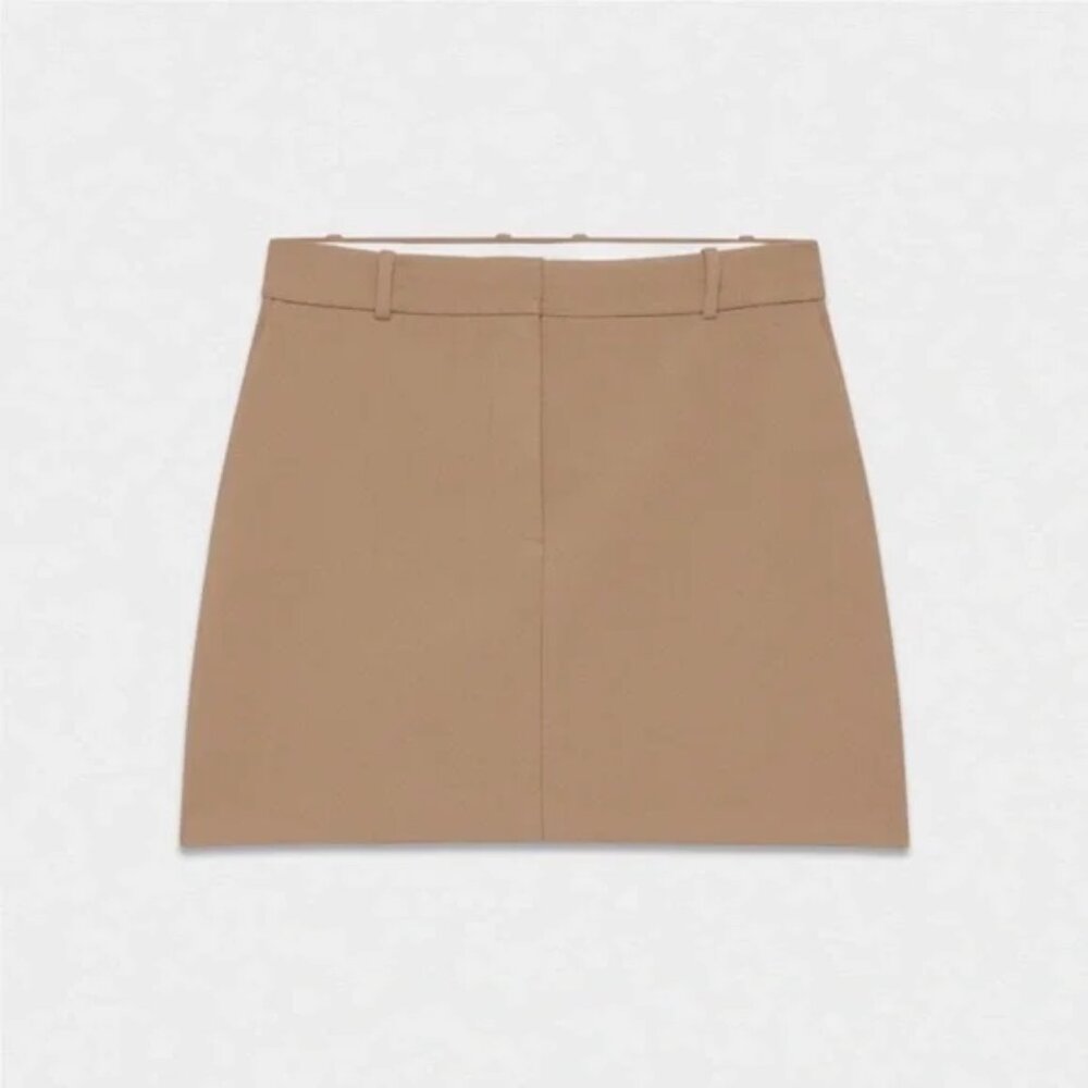 Aritzia Chisel Mini Skirt